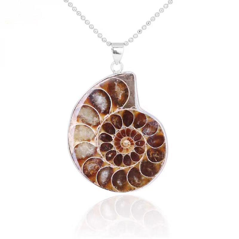 Ammonite Necklace